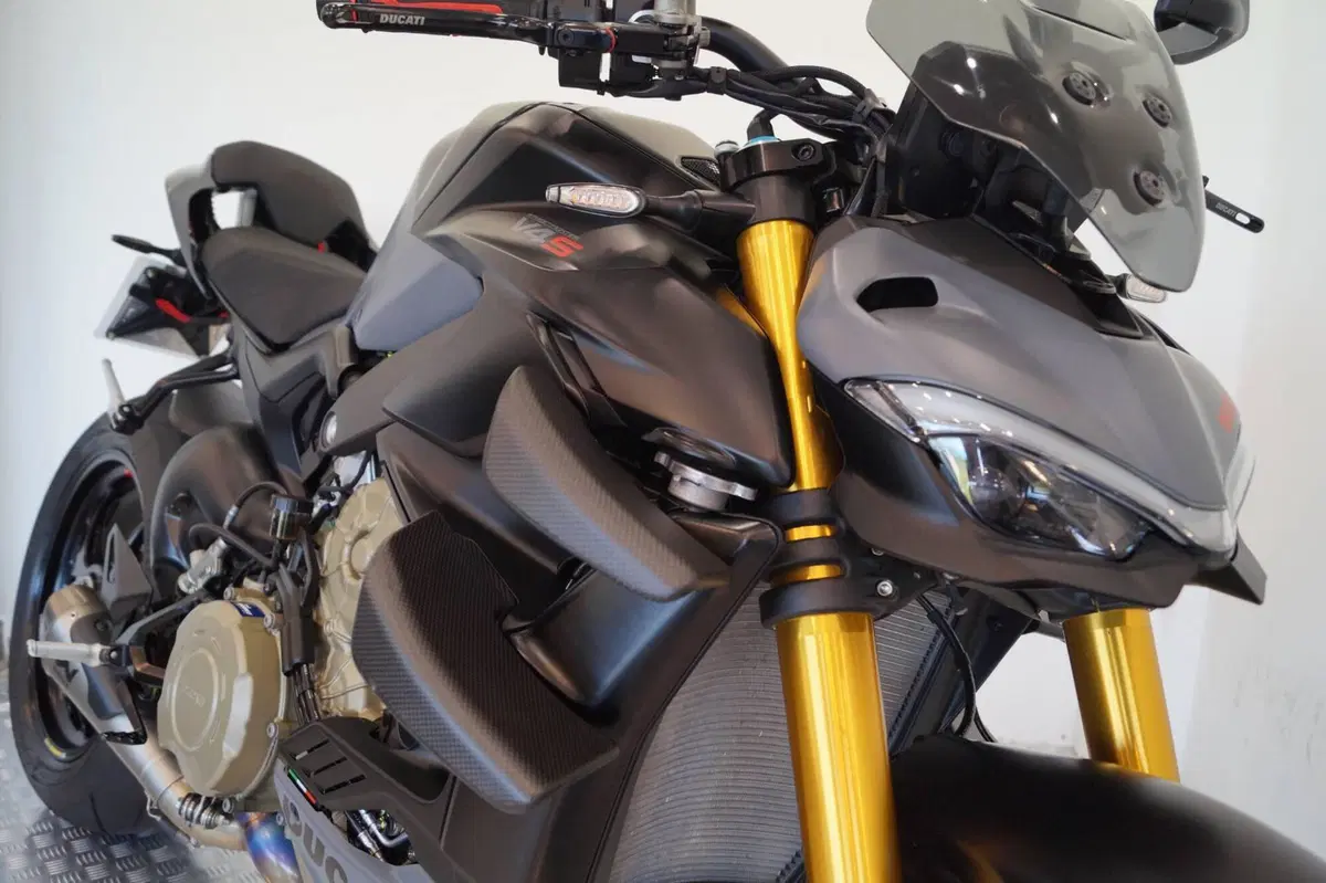 Ducati Streetfighter V4 S (2023 - 24) (12)