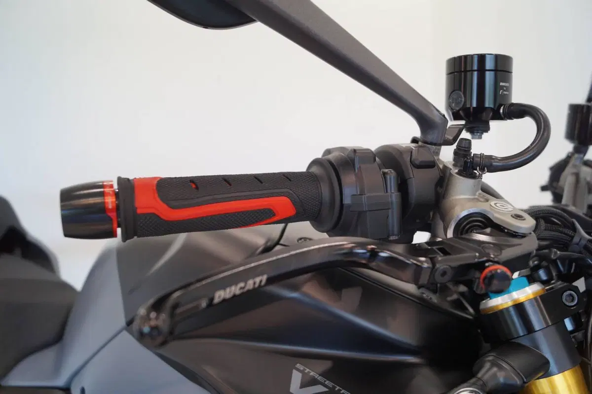 Ducati Streetfighter V4 S (2023 - 24) (13)