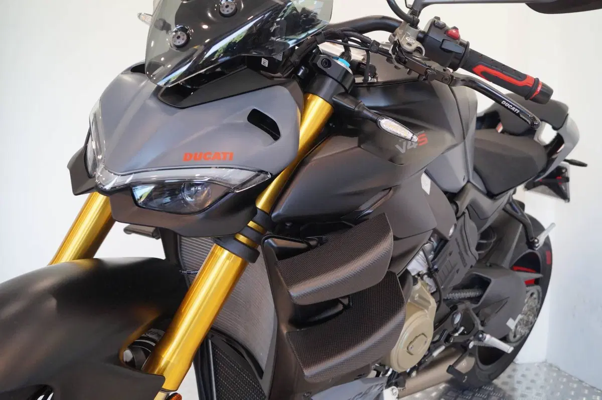Ducati Streetfighter V4 S (2023 - 24) (14)
