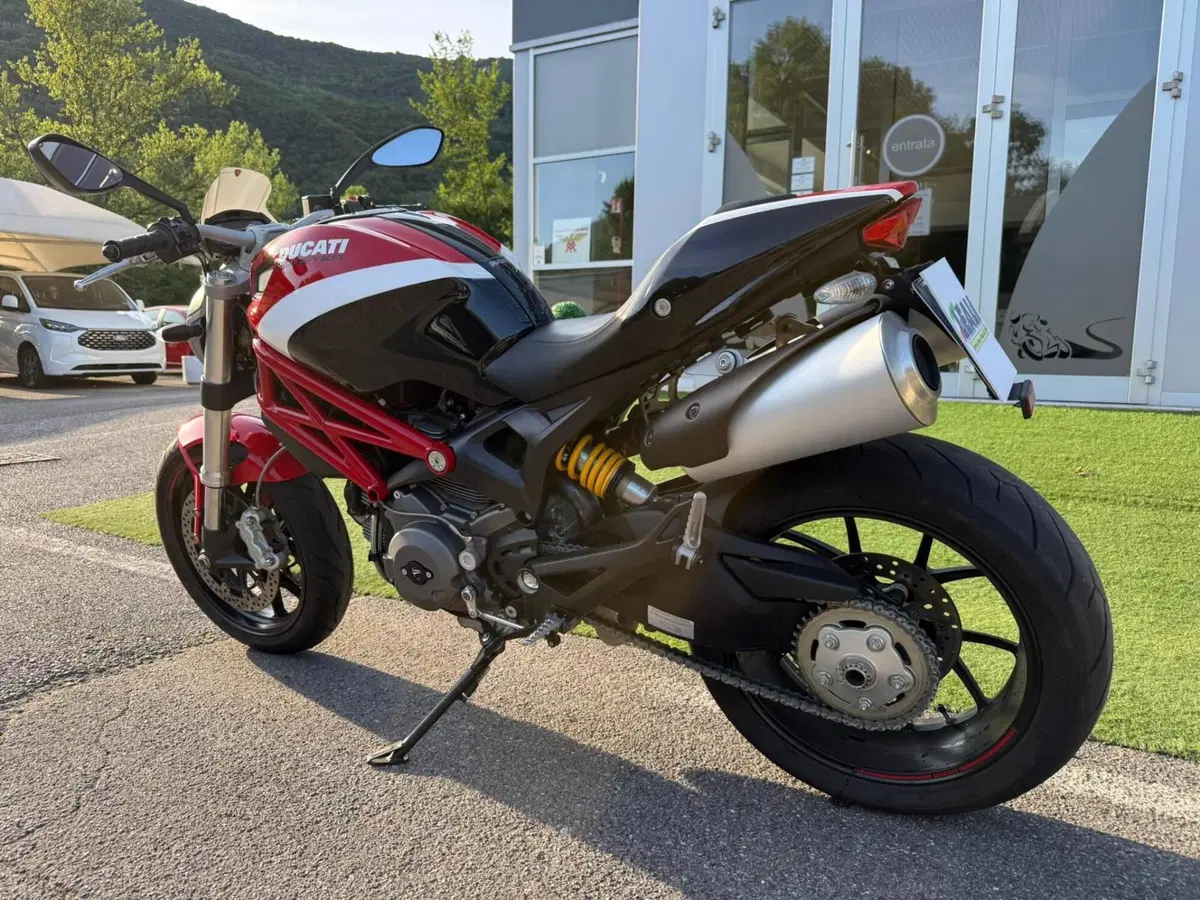 Ducati Monster 796 (2010 - 13) (16)