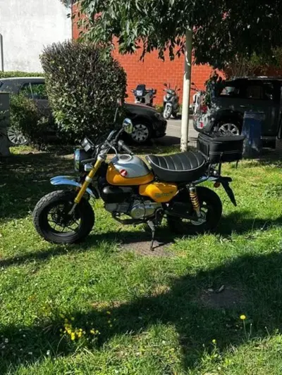 Honda Monkey 125 (2022 - 24) usata