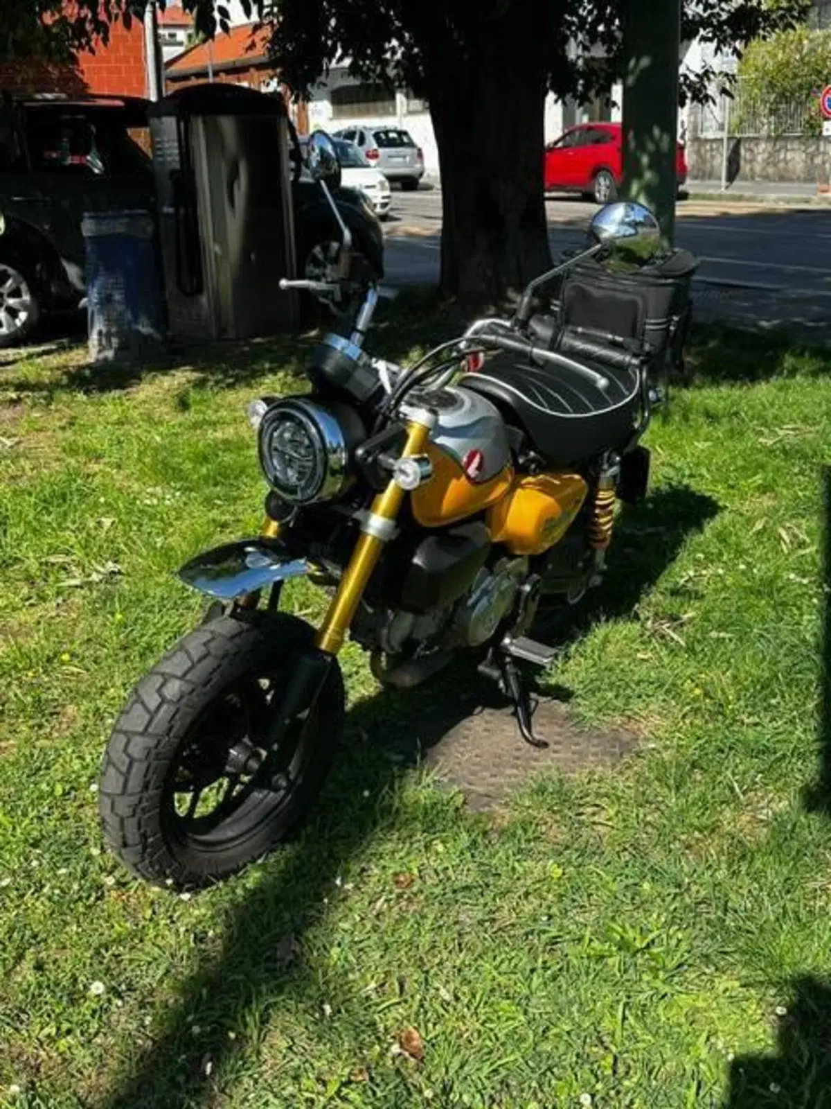 Honda Monkey 125 (2022 - 24) (2)