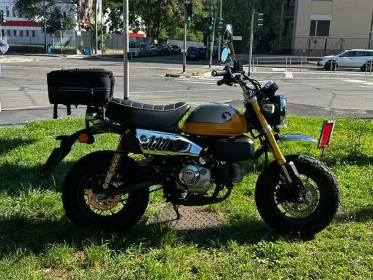 Honda Monkey 125 (2022 - 24) (3)