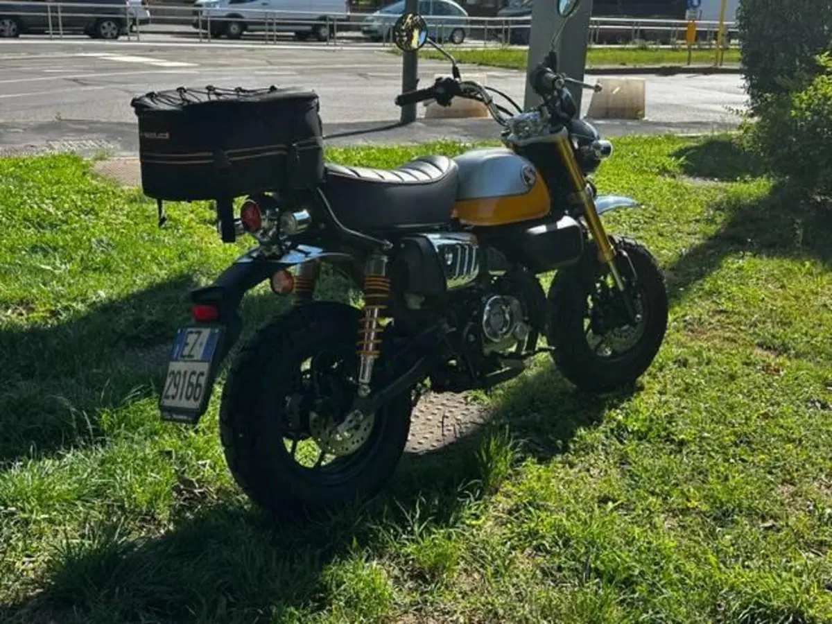 Honda Monkey 125 (2022 - 24) (4)