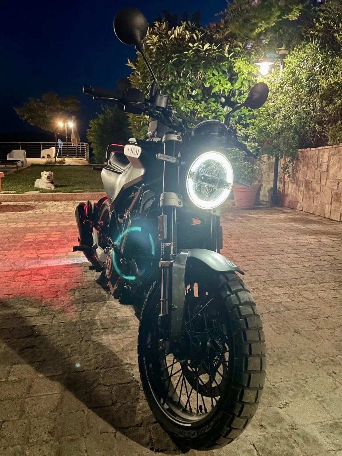 Husqvarna Svartpilen 401 (2020) (5)