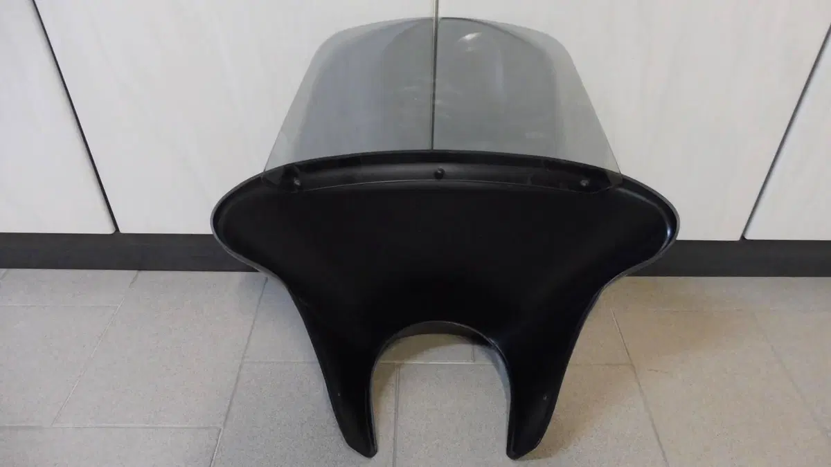 Batwing Nightster Harley-Davidson (2)