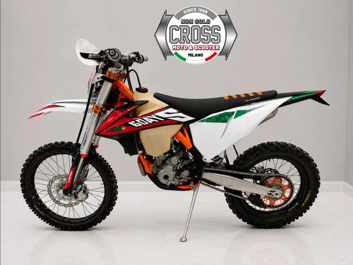KTM 350 EXC-F Six Days (2020) (5)