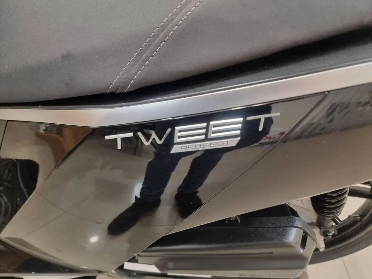 Peugeot Tweet 50 FL GT (2023 - 24) (5)