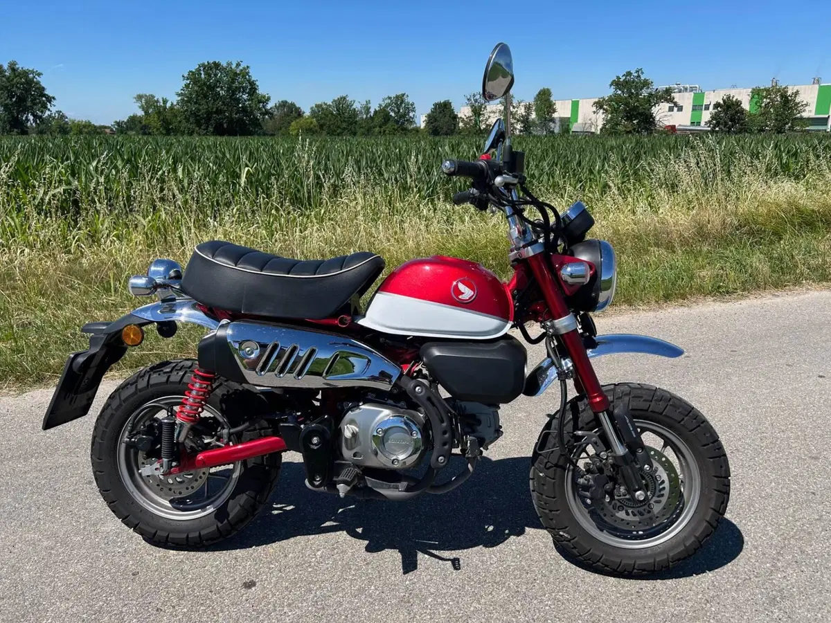Honda Monkey 125 (2018 - 20) (2)