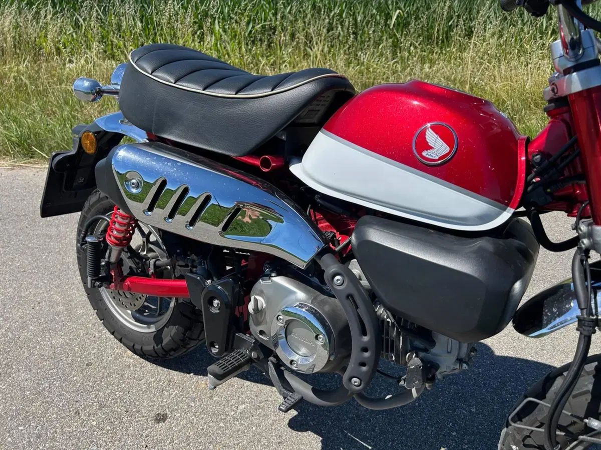 Honda Monkey 125 (2018 - 20) (3)
