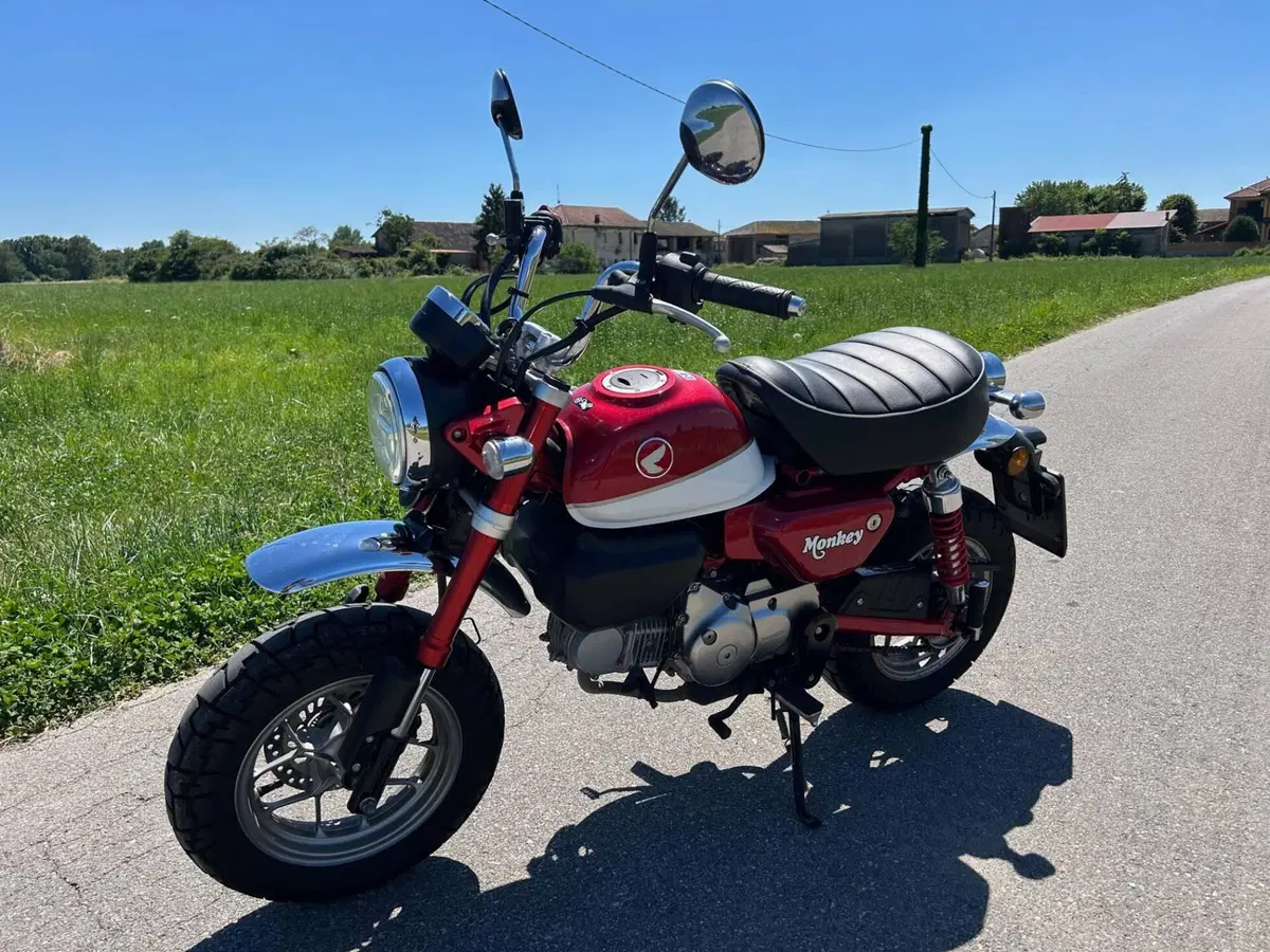 Honda Monkey 125 (2018 - 20) (4)