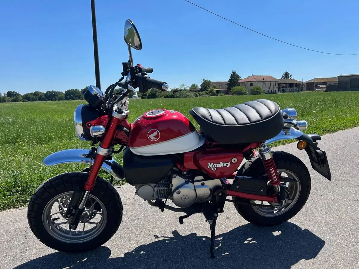 Honda Monkey 125 (2018 - 20) (5)