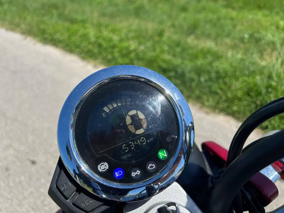 Honda Monkey 125 (2018 - 20) (6)