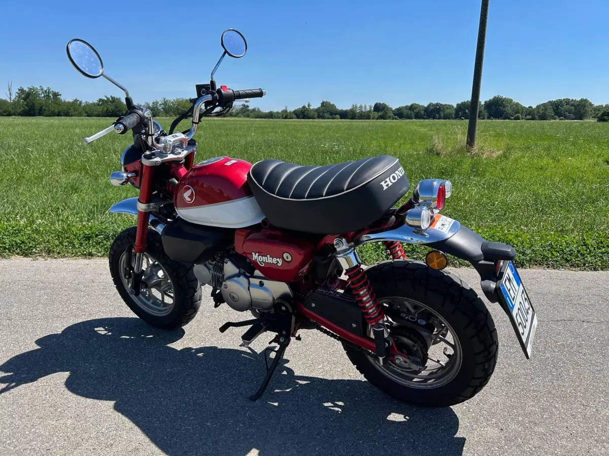 Honda Monkey 125 (2018 - 20) (7)