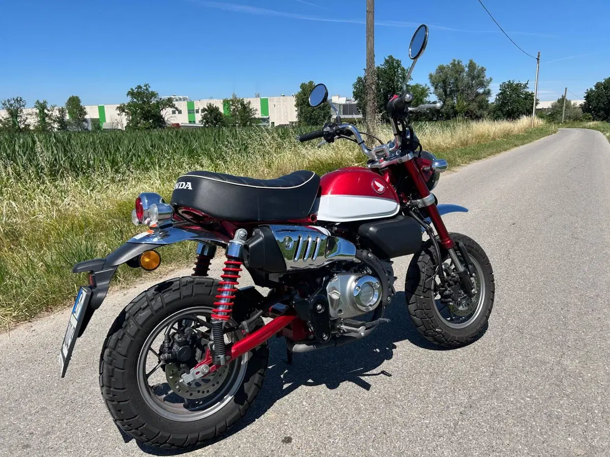 Honda Monkey 125 (2018 - 20) (8)