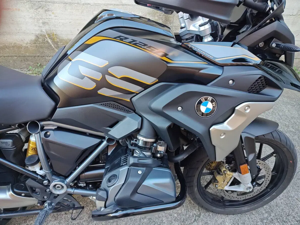 Bmw R 1250 GS (2019 - 20) (3)