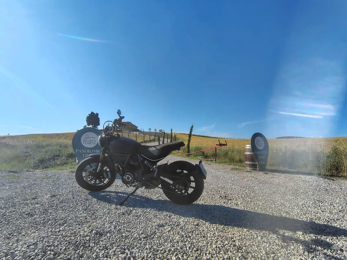 Ducati Scrambler 800 Icon Dark (2021 - 22) (4)
