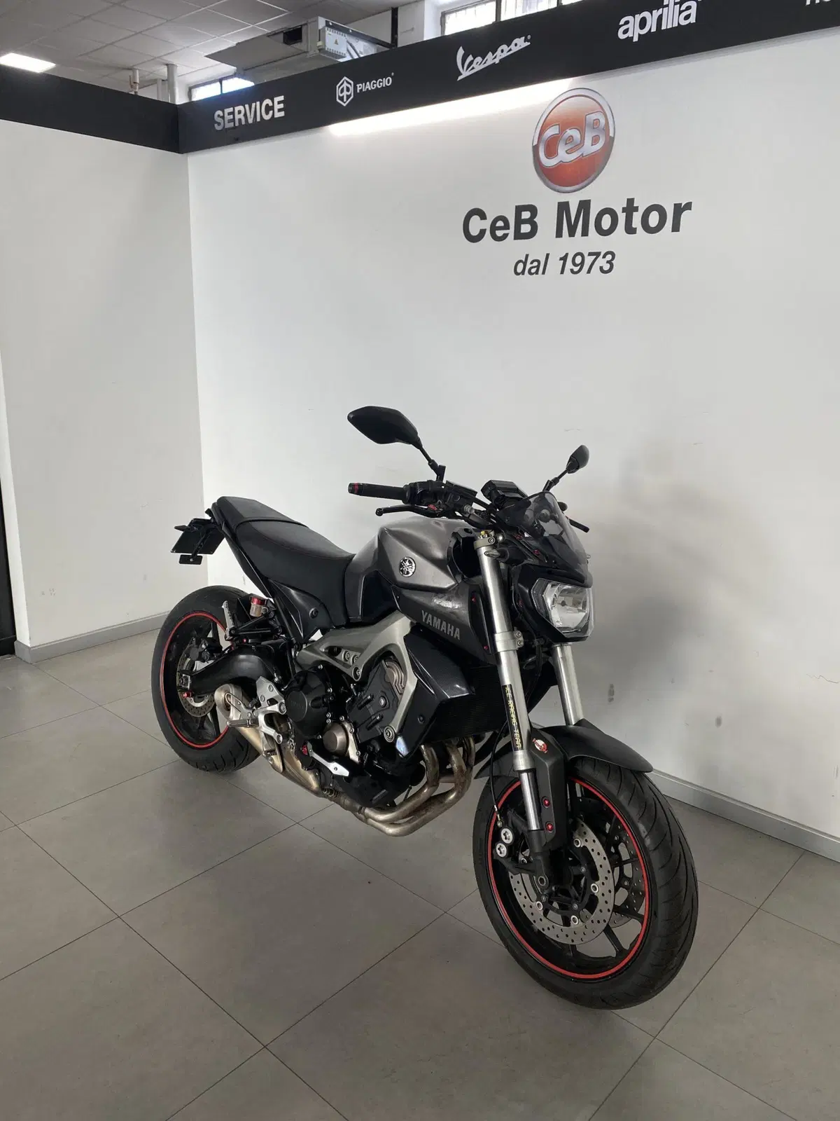 Yamaha MT-09 (2013 - 15) (6)