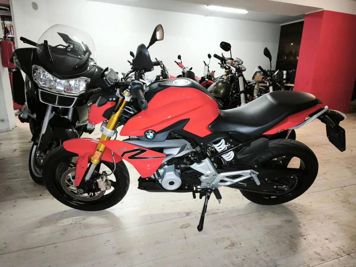 Bmw G 310 R (2016 - 20) (2)