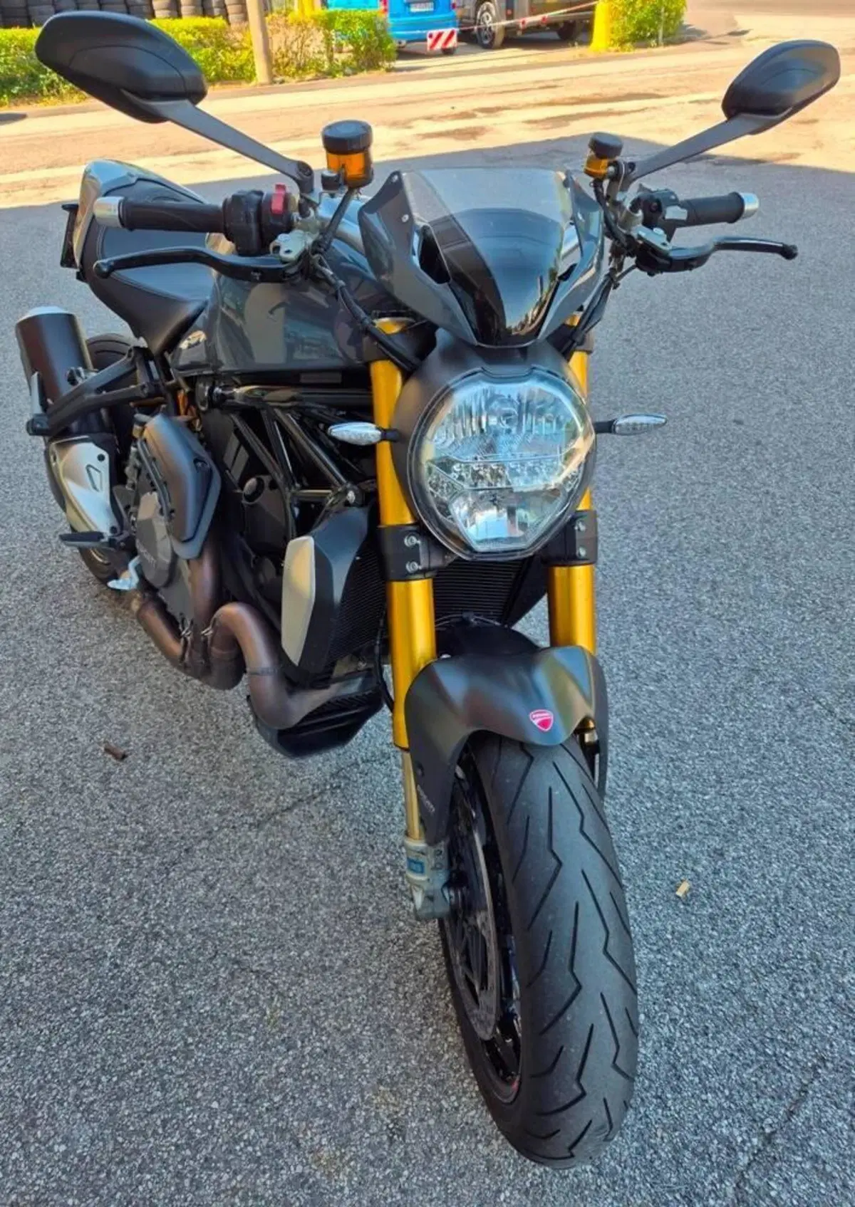 Ducati Monster 1200 S (2017 - 21) (3)