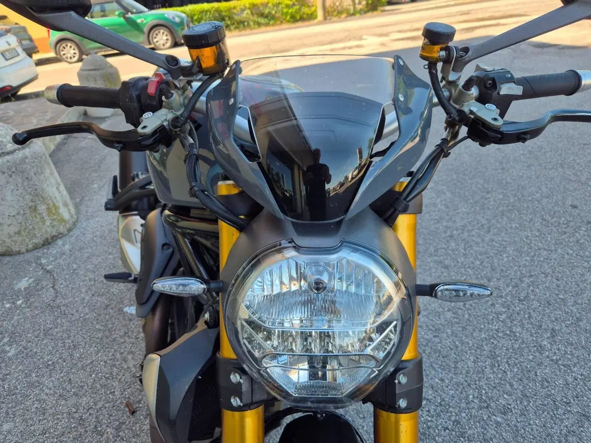 Ducati Monster 1200 S (2017 - 21) (5)