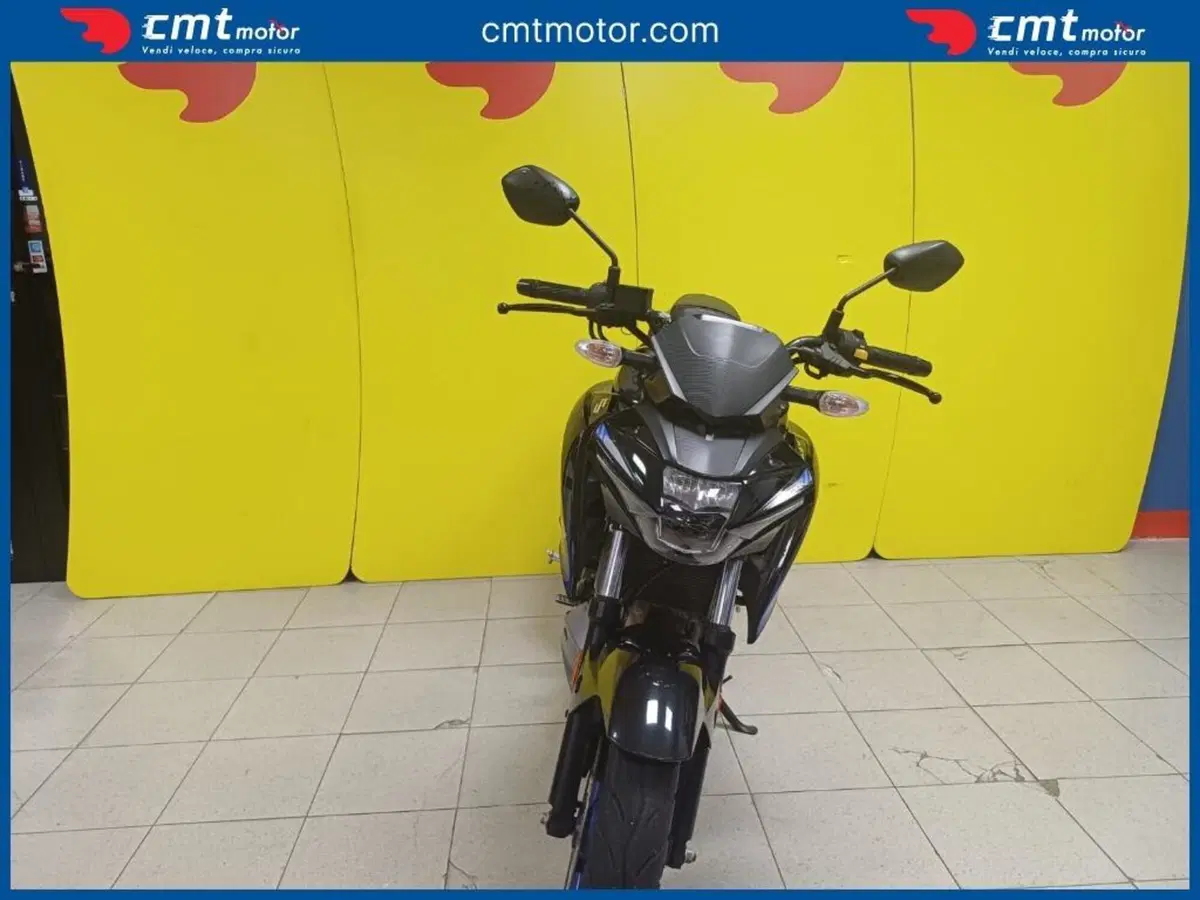 Suzuki GSX-S125 (2017 - 20) (2)