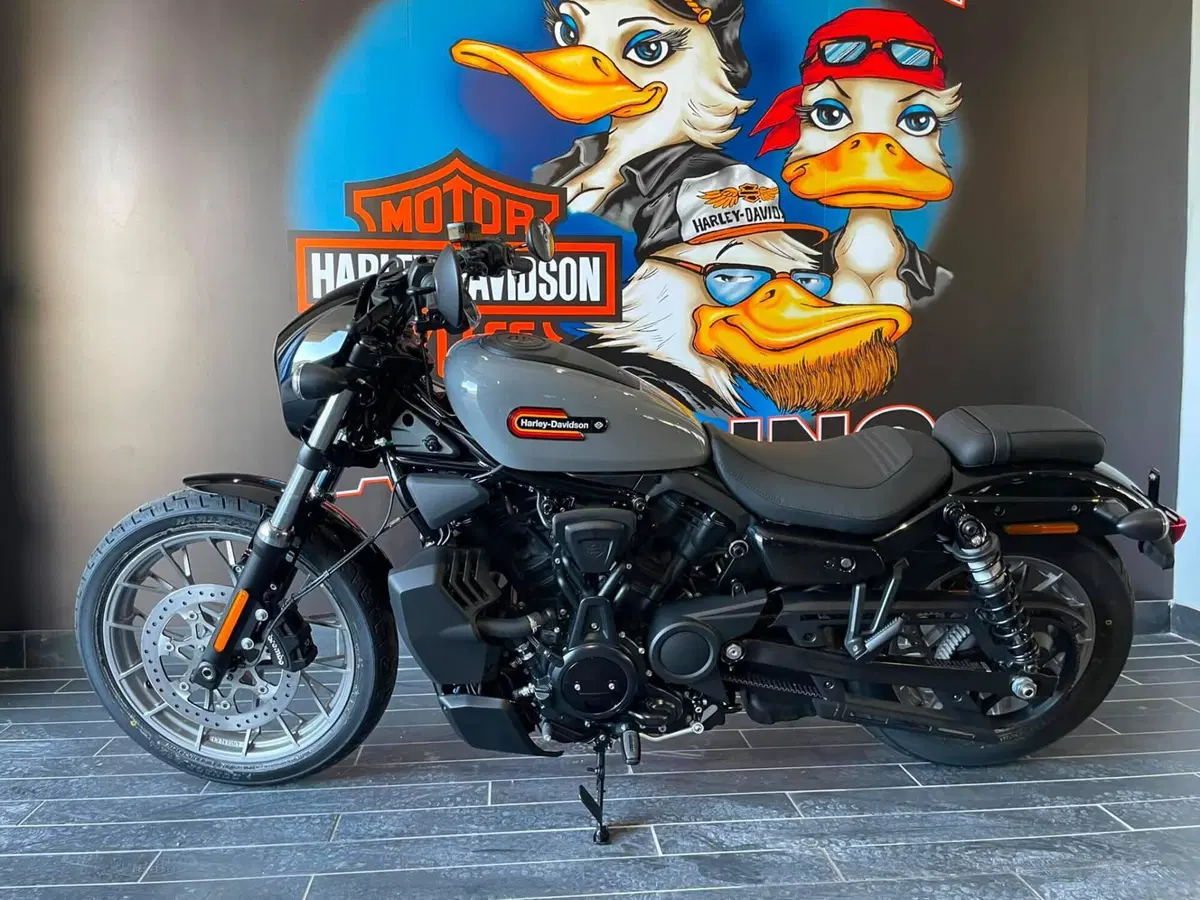 Harley-Davidson Nightster Special (2023 - 26)