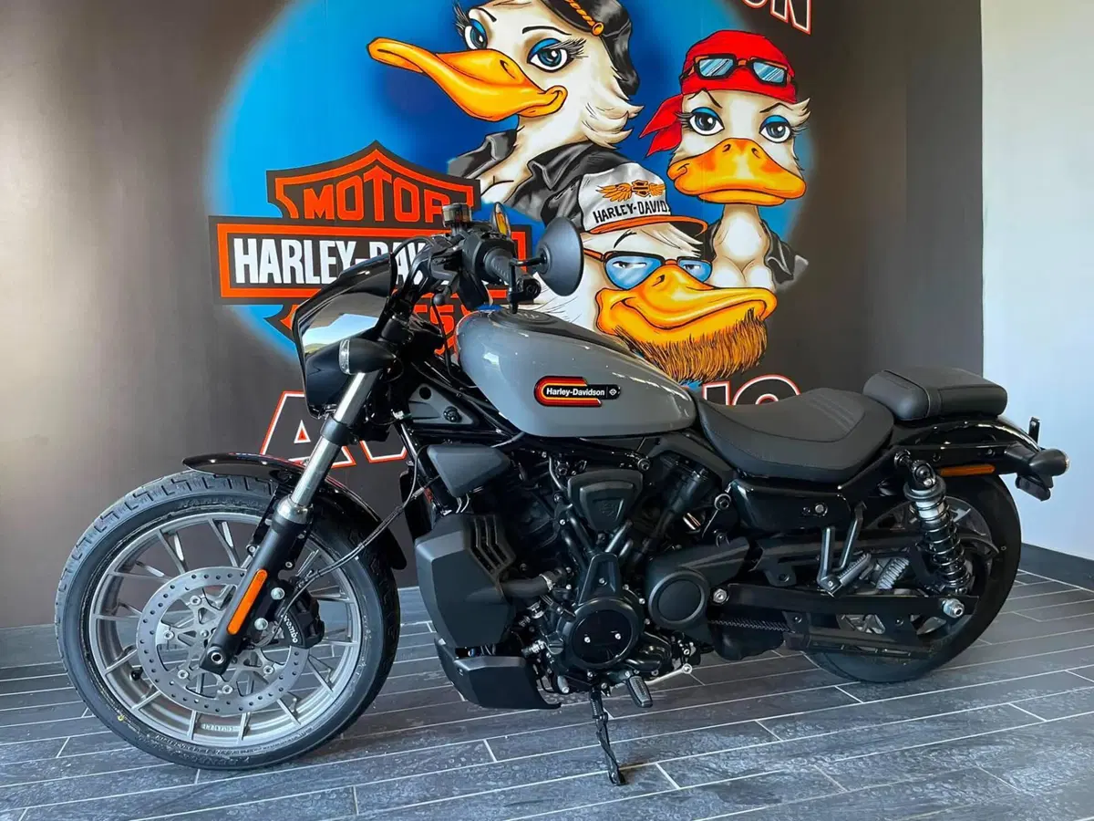 Harley-Davidson Nightster Special (2023 - 26) (3)