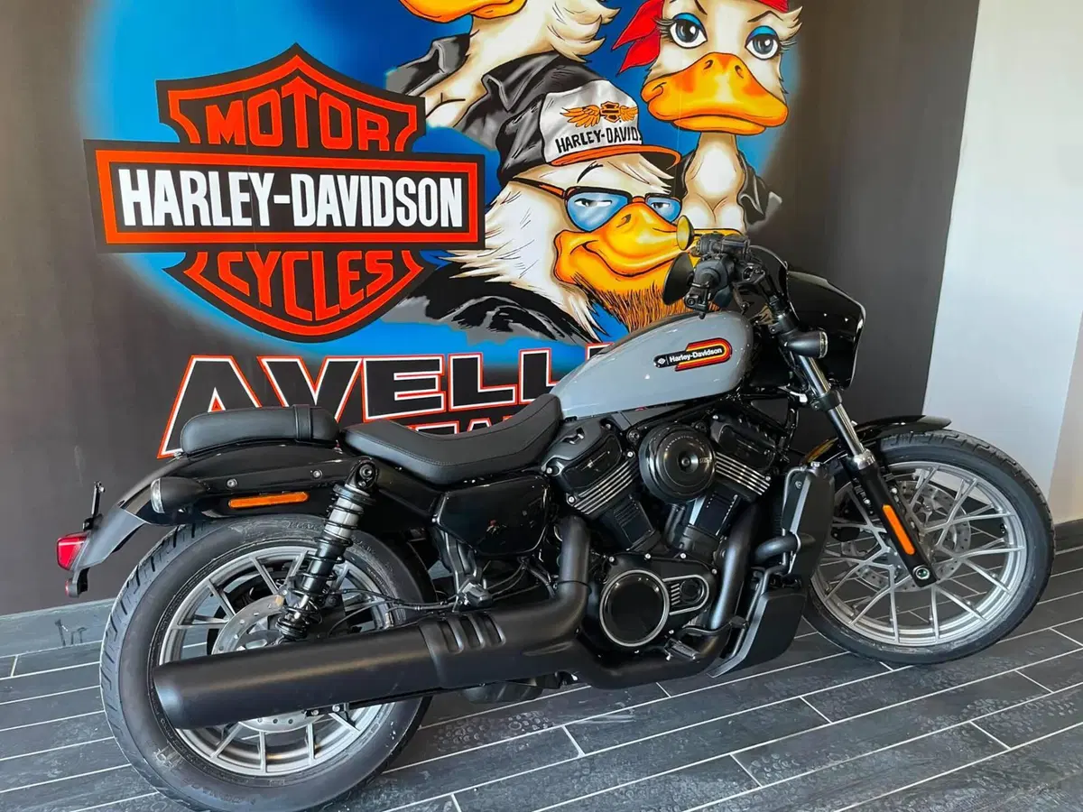 Harley-Davidson Nightster Special (2023 - 26) (4)