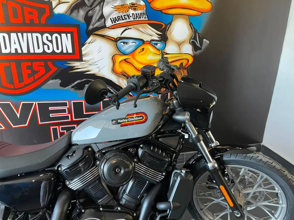 Harley-Davidson Nightster Special (2023 - 26) (5)