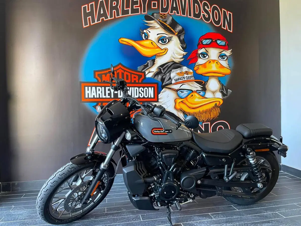 Harley-Davidson Nightster Special (2023 - 26) (6)