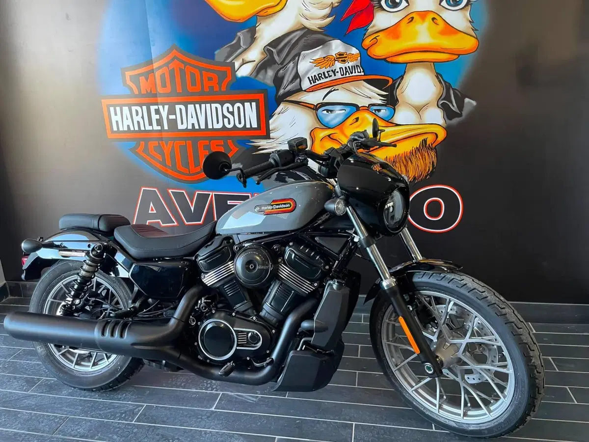 Harley-Davidson Nightster Special (2023 - 26) (8)