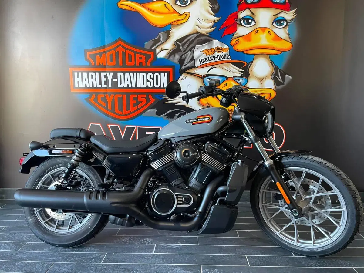 Harley-Davidson Nightster Special (2023 - 26) (9)