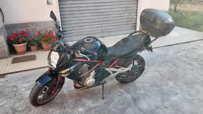 Kawasaki ER-6N (2006 - 09) usata