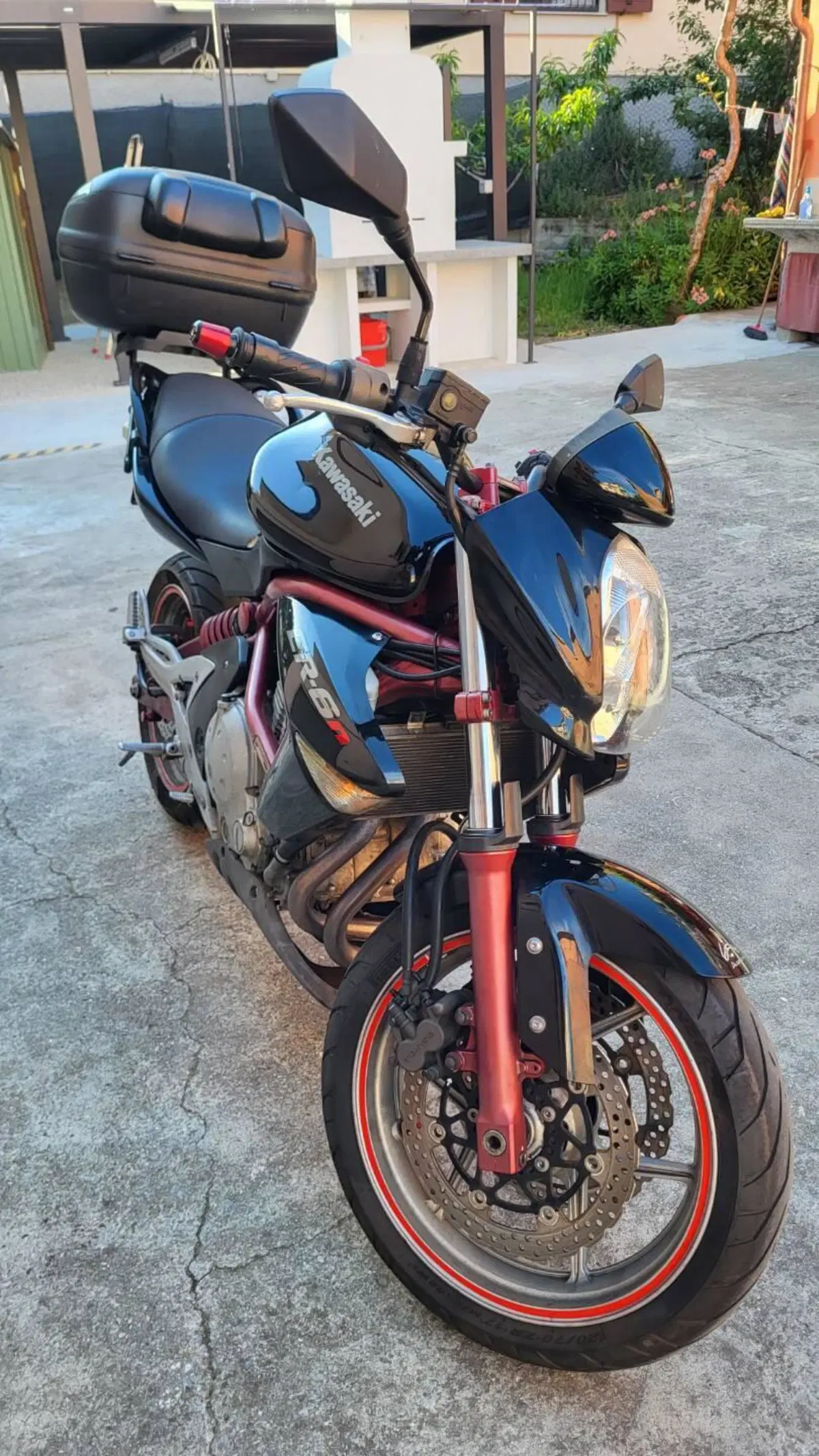 Kawasaki ER-6N (2006 - 09) (3)