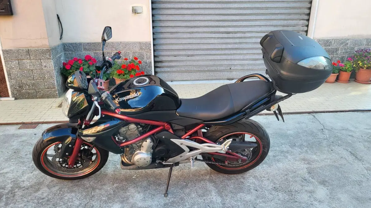 Kawasaki ER-6N (2006 - 09) (8)