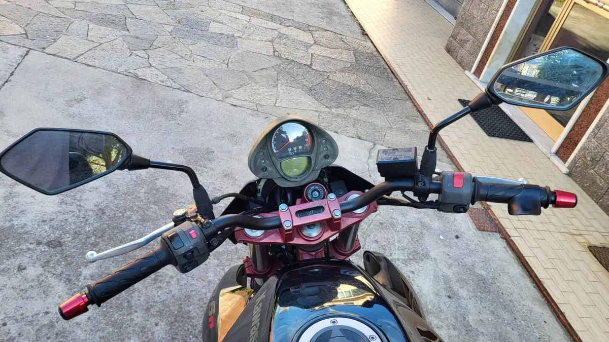 Kawasaki ER-6N (2006 - 09) (5)