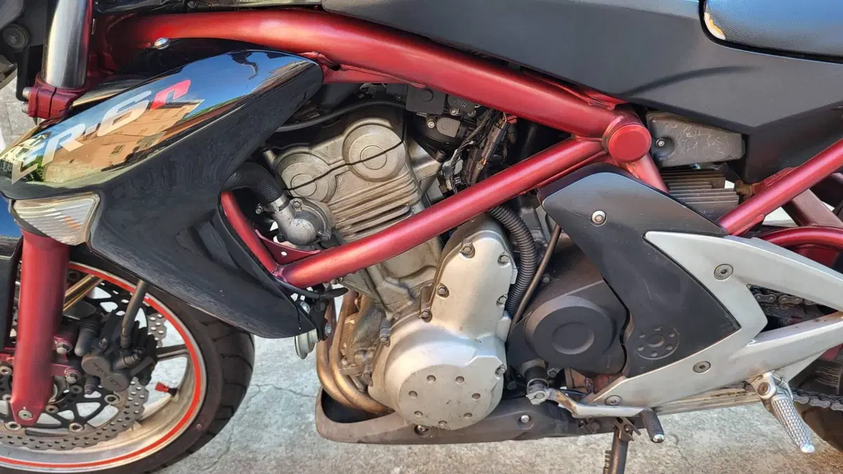 Kawasaki ER-6N (2006 - 09) (9)