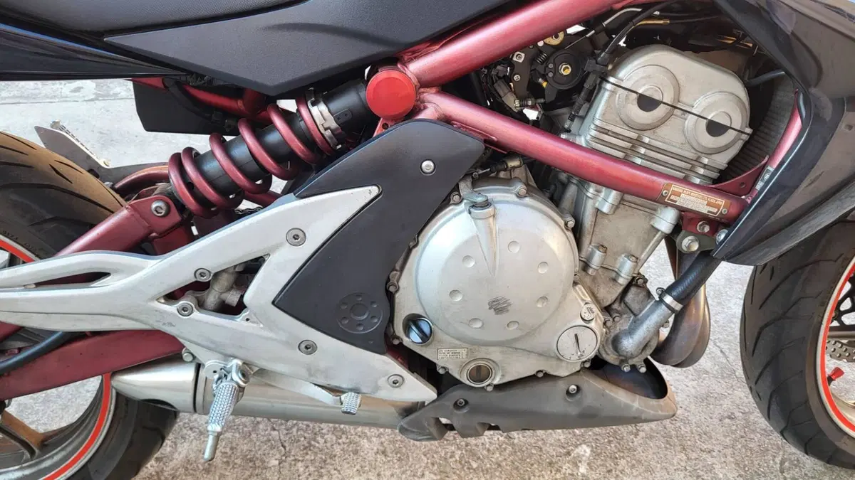 Kawasaki ER-6N (2006 - 09) (10)