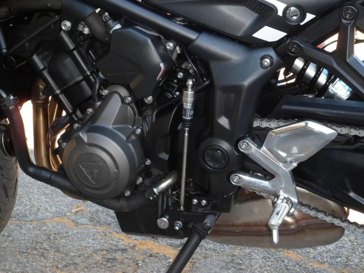 Triumph Trident 660 (2025) (4)