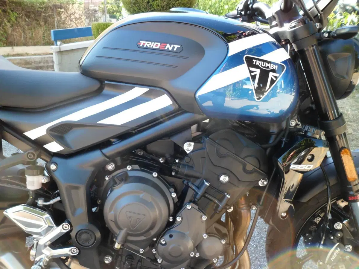 Triumph Trident 660 (2025) (10)