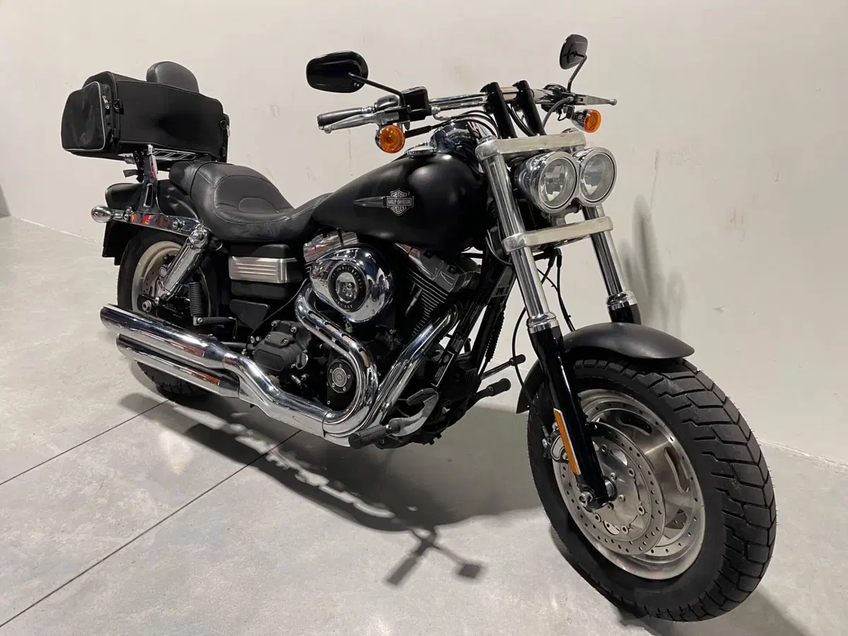 Harley-Davidson 1584 Fat Bob (2007 - 13) - FXDF (2)