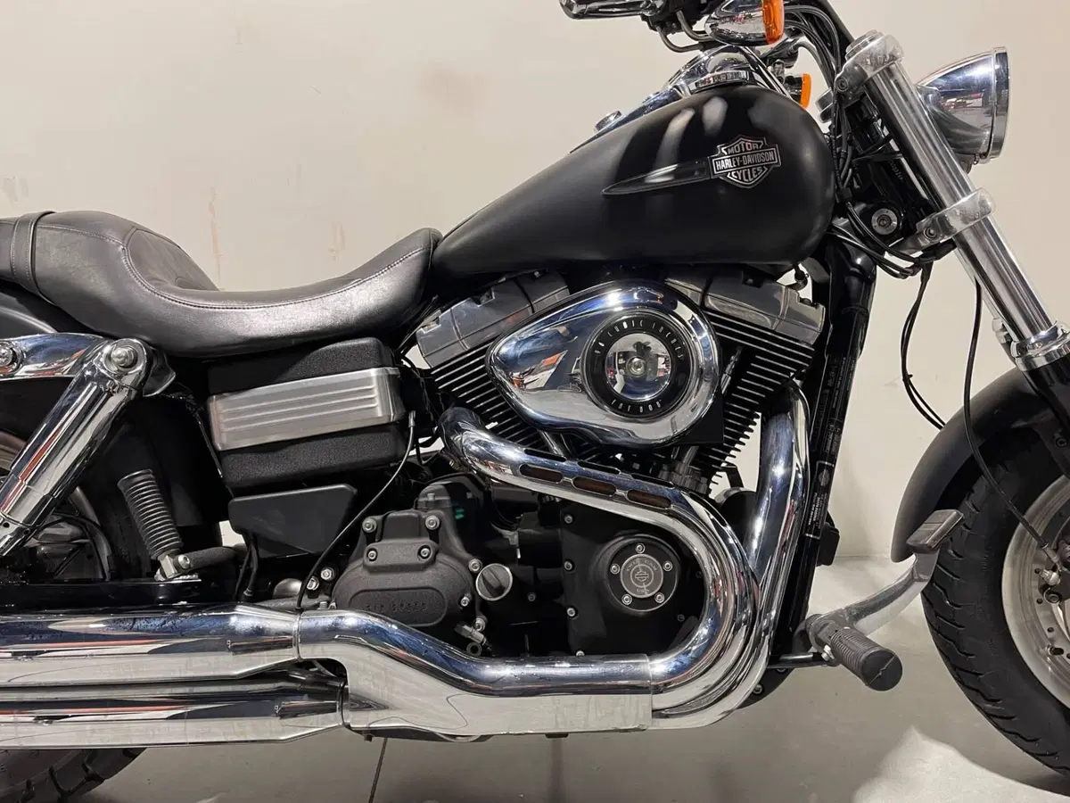Harley-Davidson 1584 Fat Bob (2007 - 13) - FXDF (4)