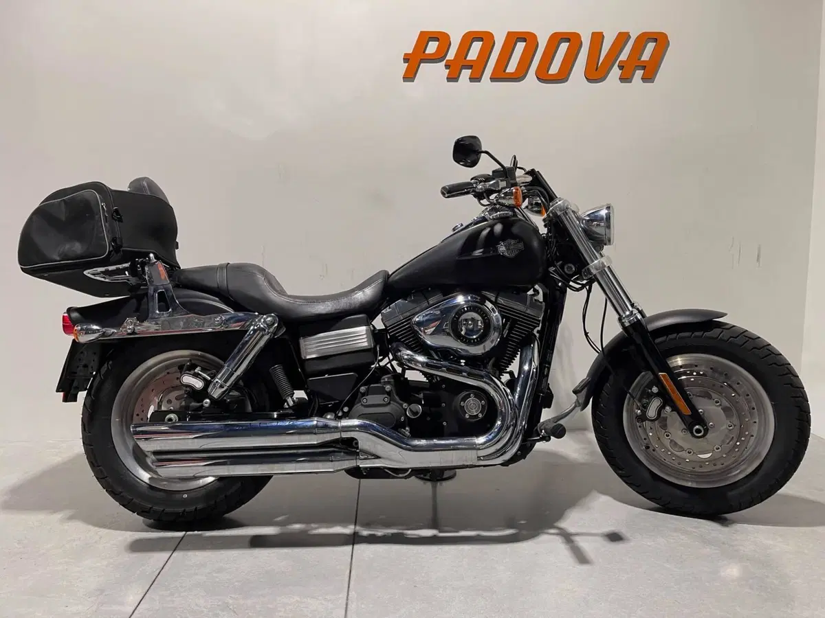 Harley-Davidson 1584 Fat Bob (2007 - 13) - FXDF (10)