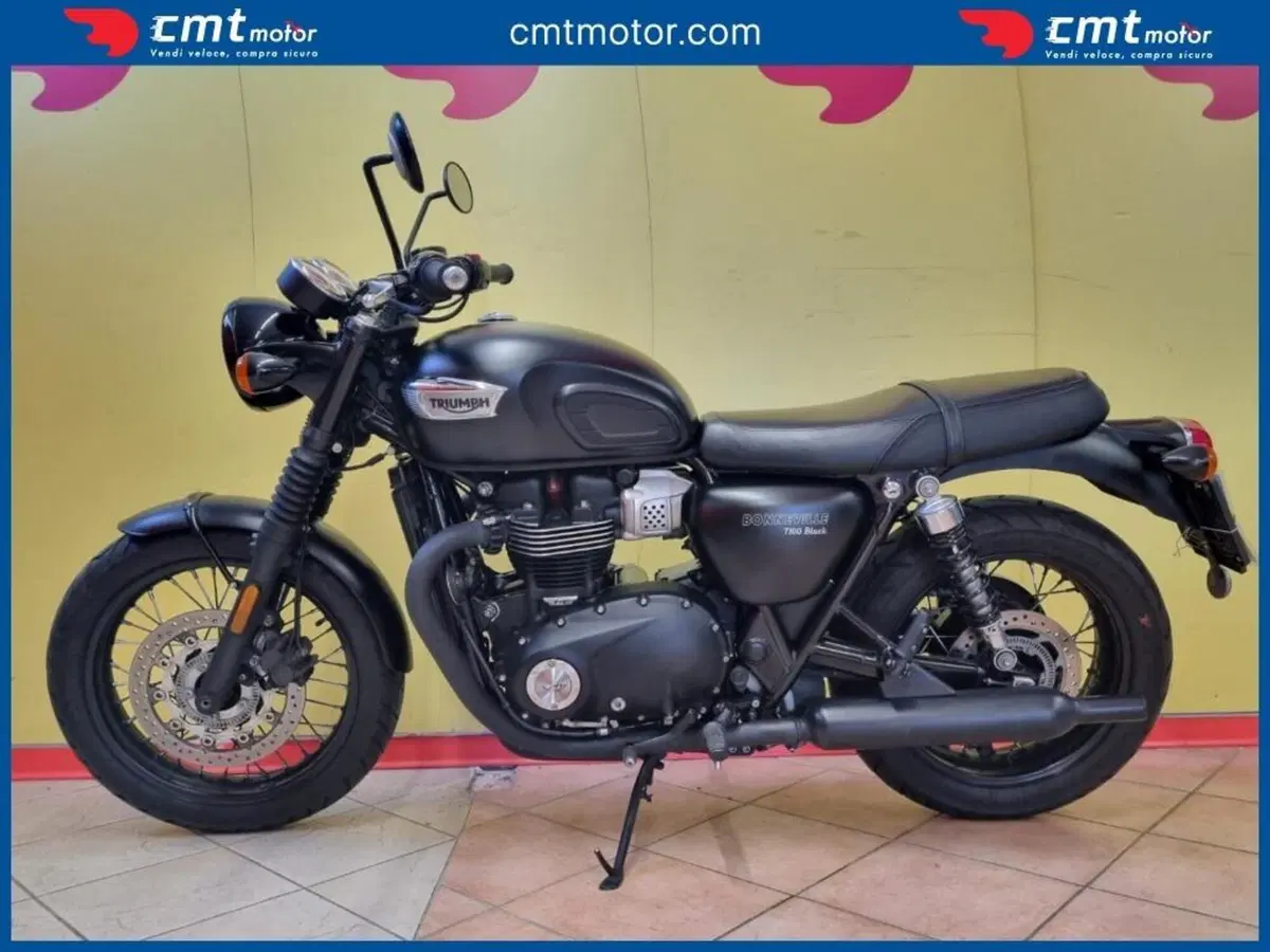 Triumph Bonneville T100 (2017 - 20) (2)