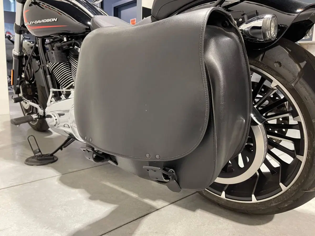 Harley-Davidson Breakout 117 (2023 - 24) (8)