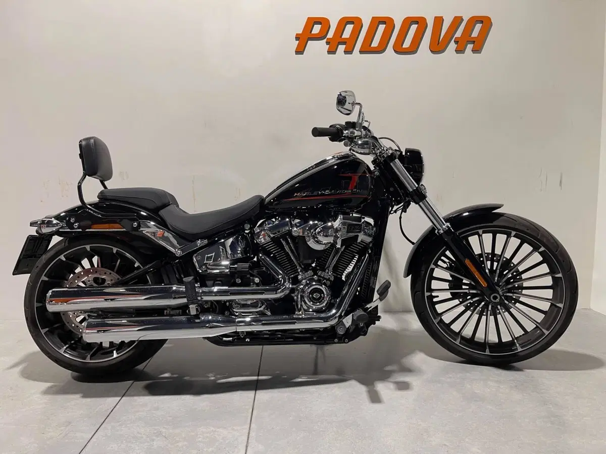 Harley-Davidson Breakout 117 (2023 - 24) (9)