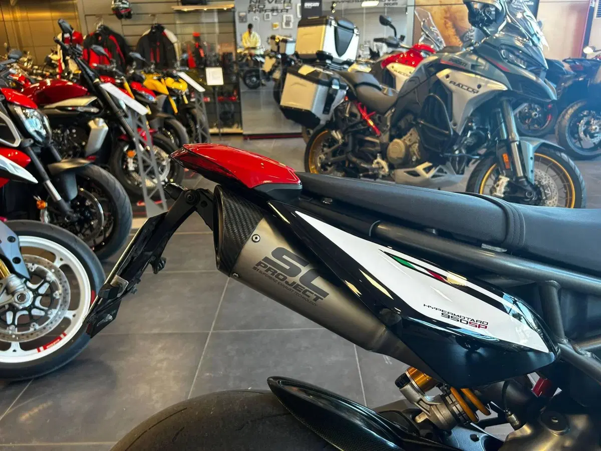 Ducati Hypermotard 950 SP (2019 - 20) (6)