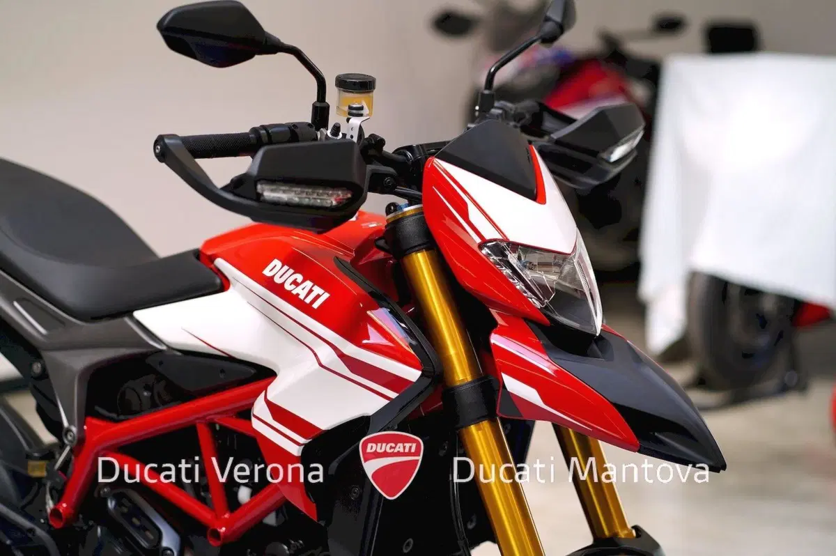 Ducati Hypermotard 939 SP (2016 - 18) (9)