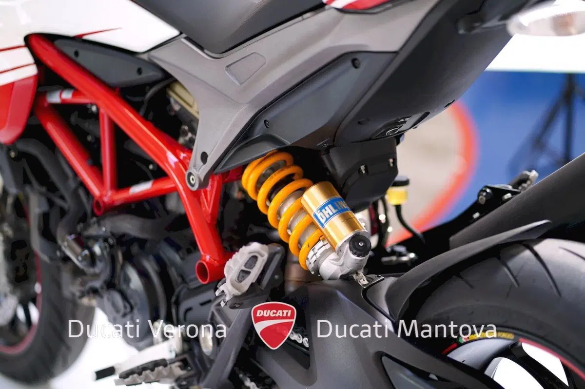 Ducati Hypermotard 939 SP (2016 - 18) (13)